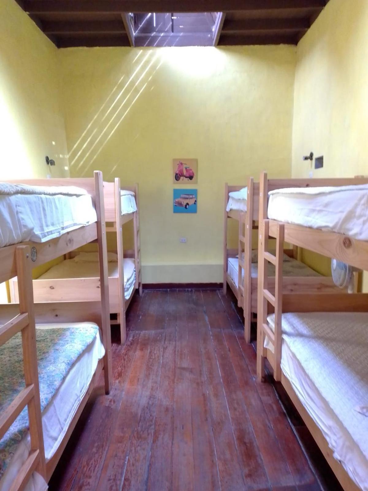 Wild Olive Guest House Ίκα Εξωτερικό φωτογραφία